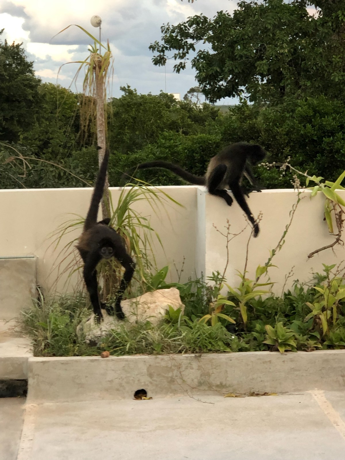 Episode 521: Sass&nbsp;Squatch