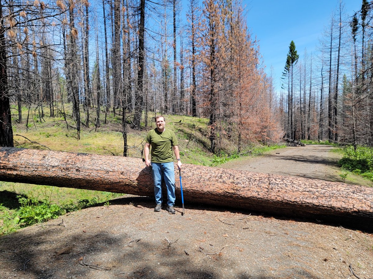 Episode 545: Back to the Parent&nbsp;Trap