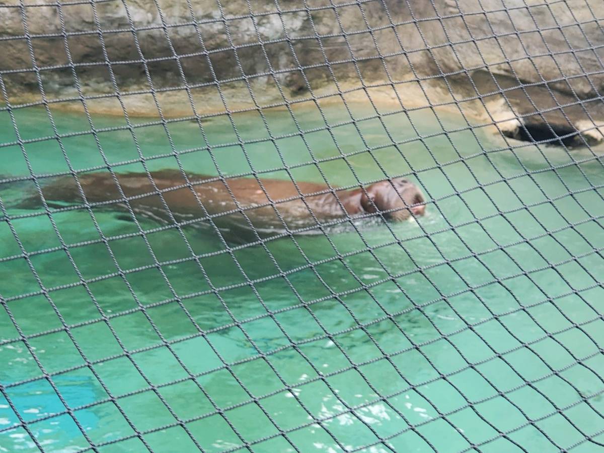 Episode 555: Boil My&nbsp;Legs