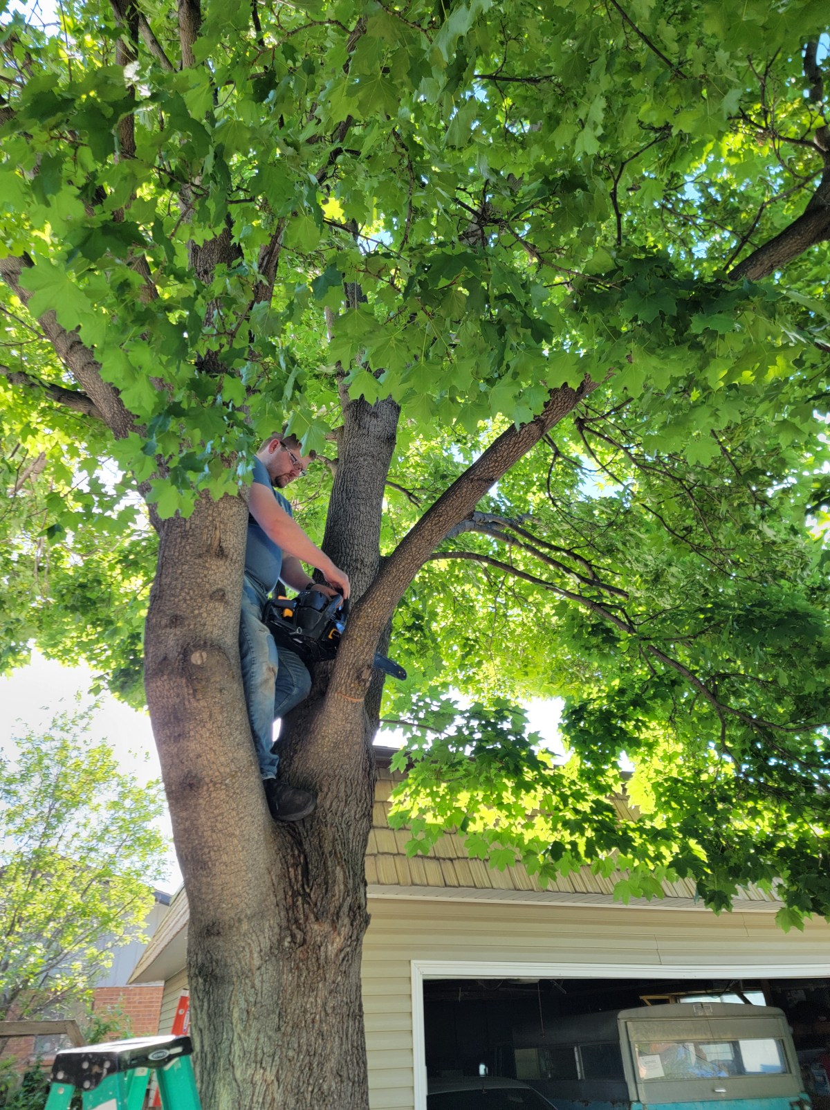 Episode 592: Plant of the&nbsp;Apes