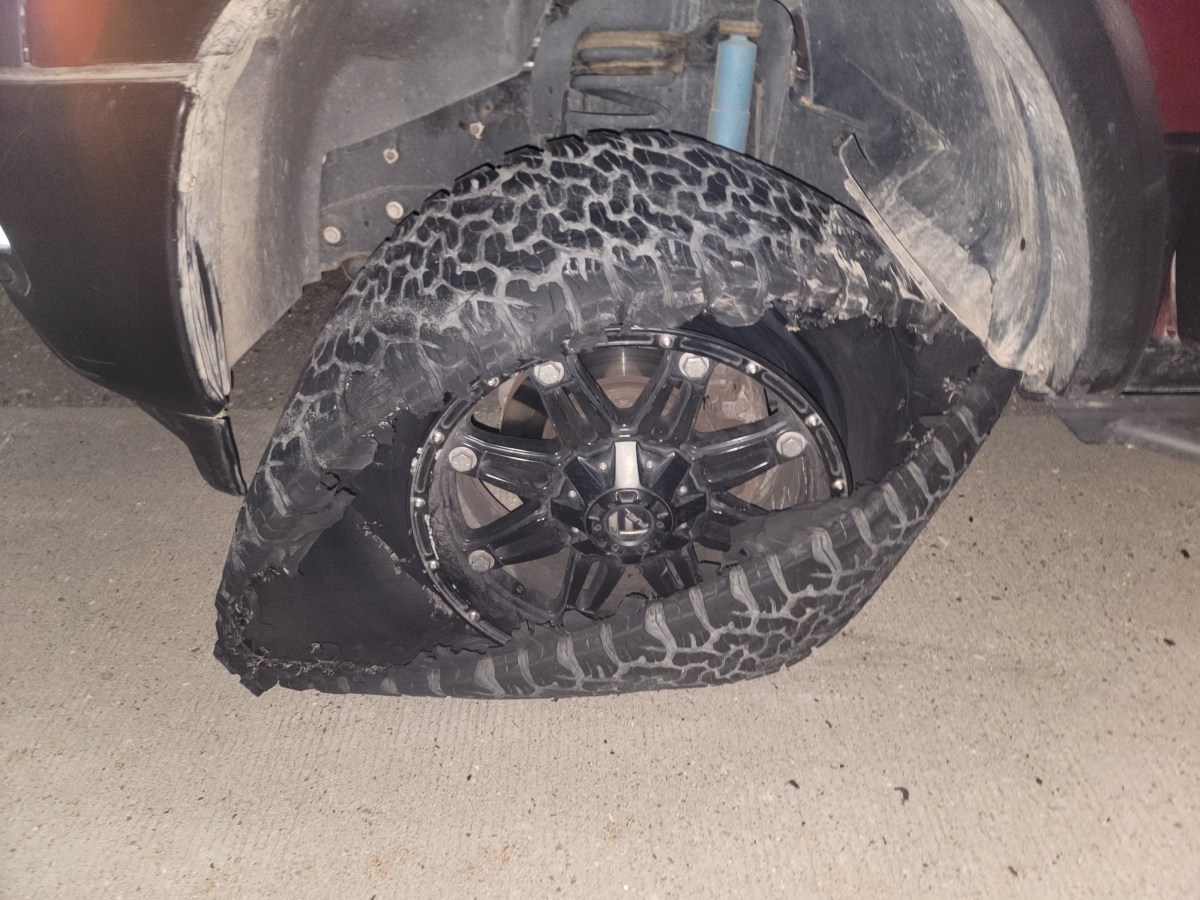 Episode 601: Cat-a-Strophic&nbsp;Failure