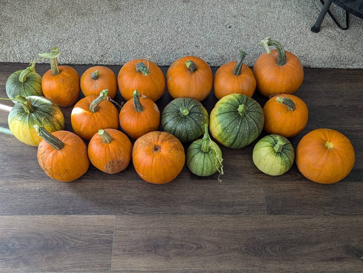 Episode 612: Steve&nbsp;Diddy