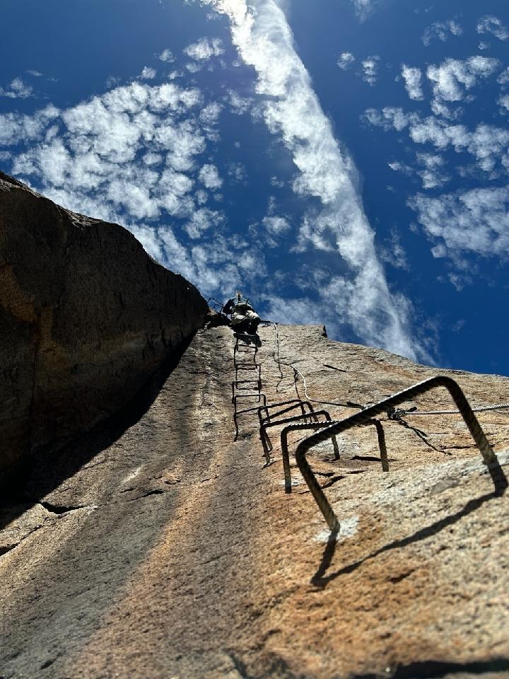 Episode 608: Bees&nbsp;Knees