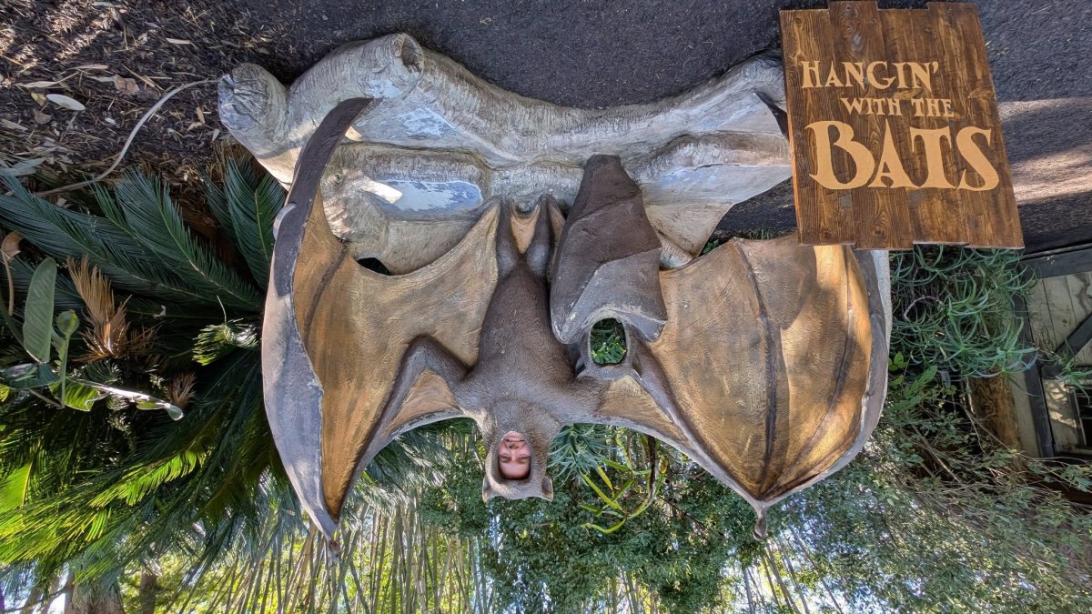 Episode 680: Darkstork Owlgorithm aka Naptime&nbsp;Nebula